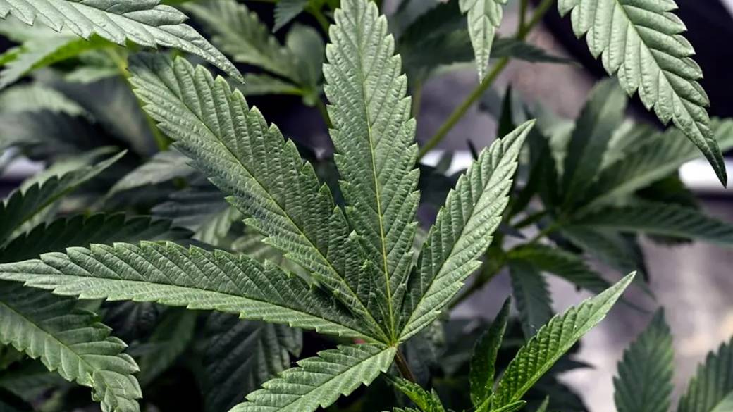 Click to play video: 'Manitoba group home currently under fire for giving teens weed'