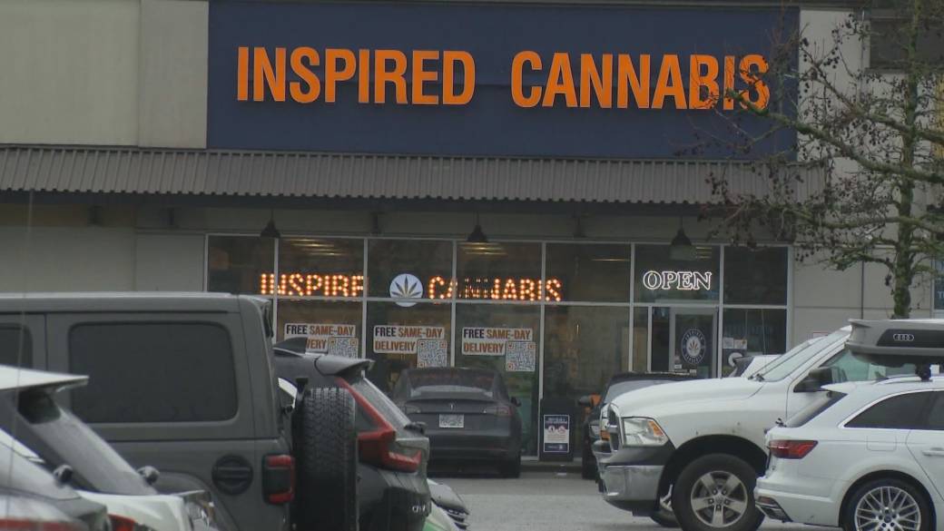 Click to play video: 'Cannabis shops could be coming to Surrey'
