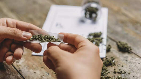 marijuana