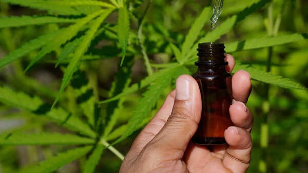 cbd