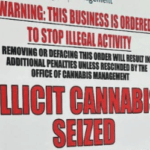 California Is Struggling to Control Its Booming Illegal Cannabis Market