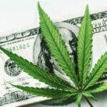 Cannabis Doesn’t Make You a Loser