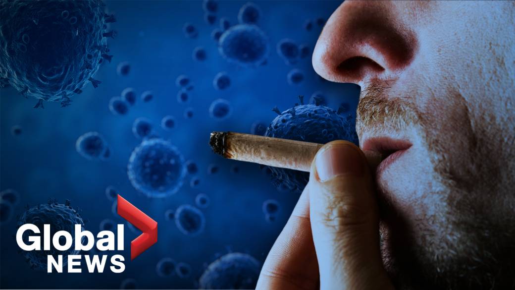Click to play video: 'Have Canadian cannabis users increased their usage during the pandemic?'
