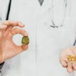 Can Cannabis Help Relieve Back Pain