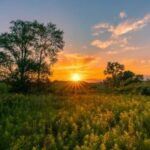 How The Midwest Is Becoming A Surprising Cannabis Story