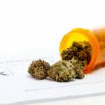Older Politicians Still Fighting Marijuana Hard