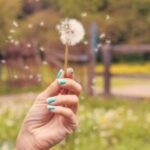 What To Know About Seasonal Allergies And Cannabis